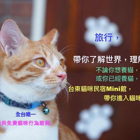 貓咪民宿Mini館-貓行為諮詢 T'ai-tung 外观 照片